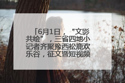 6月1日，“文影共绘”，三省四地小记者齐聚豫西松鹿欢乐谷，征文暨短视频大赛精彩启幕！