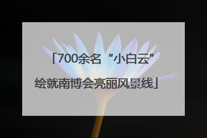 700余名“小白云”绘就南博会亮丽风景线