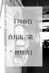 70亩百合开出“花”样经济