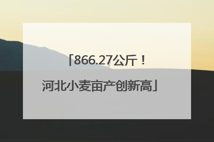 866.27公斤！河北小麦亩产创新高