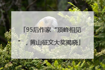 95后作家“顶峰相见”，黄山征文大奖揭晓