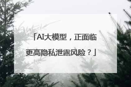 AI大模型，正面临更高隐私泄露风险？
