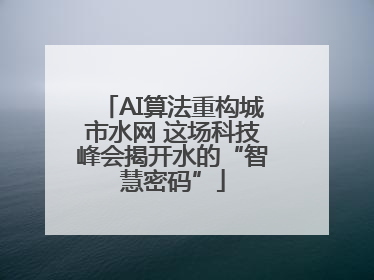 AI算法重构城市水网 这场科技峰会揭开水的“智慧密码”