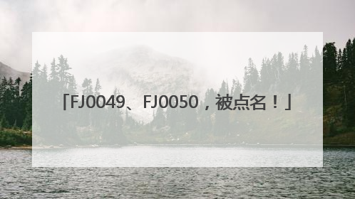 FJ0049、FJ0050，被点名！