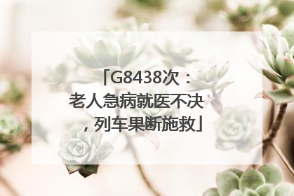 G8438次：老人急病就医不决，列车果断施救