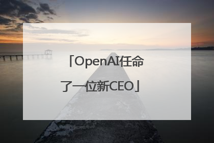 OpenAI任命了一位新CEO