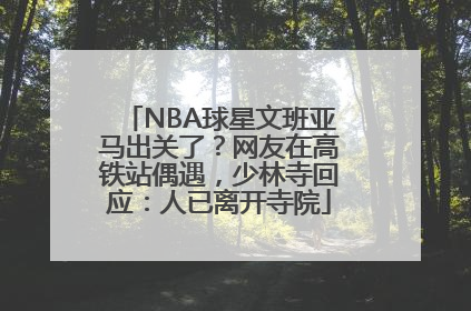 NBA球星文班亚马出关了？网友在高铁站偶遇，少林寺回应：人已离开寺院