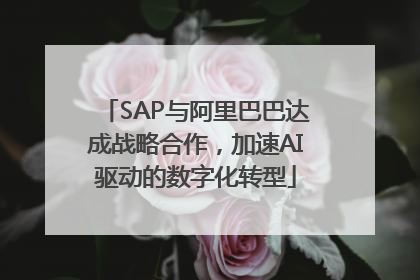 SAP与阿里巴巴达成战略合作，加速AI驱动的数字化转型