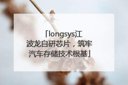 longsys江波龙自研芯片，筑牢汽车存储技术根基